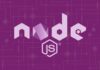 install Node.js dan npm di Debian Linux