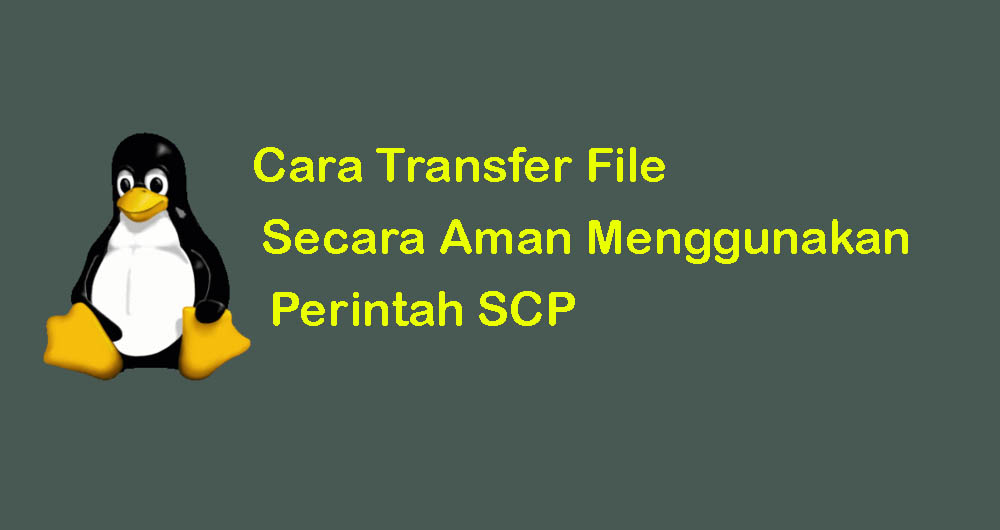 Cara Transfer File Secara Aman Dengan Perintah SCP