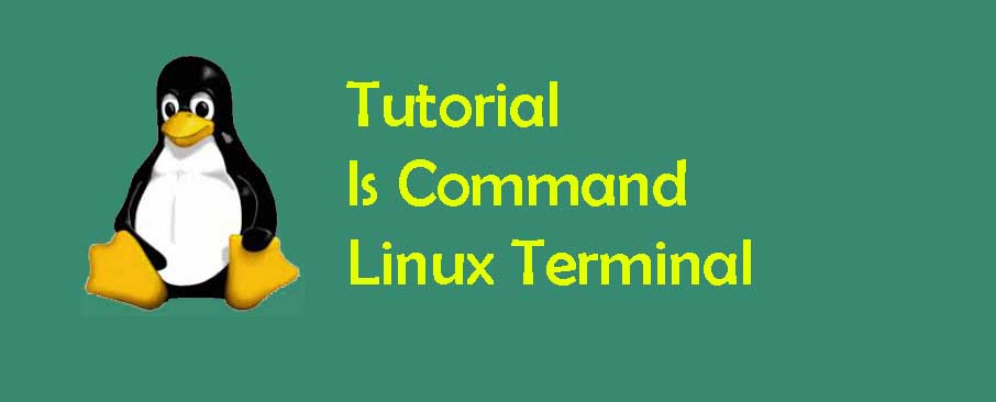Perintah ls di Linux Terminal dan Contoh Penggunaan