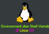 Shell Environment Variable di Linux dan Unix