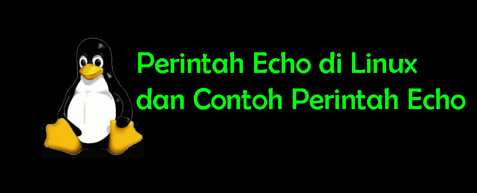 Perintah Echo di Linux dan Contoh Perintah Echo