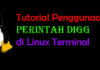 Tutorial Lengkap Perintah Dig untuk Query DNS di Linux