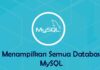 Cara Menampilkan Semua Database di MySQL