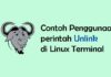 Penggunaan perintah Unlink di Linux Terminal