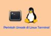 Perintah Umask di Linux Terminal